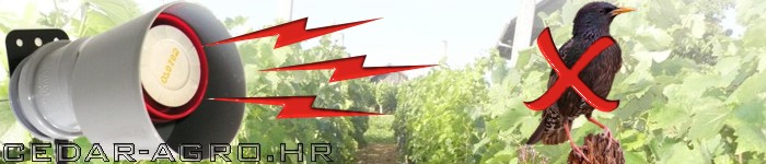 top_krokar